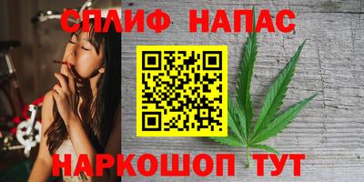 гашик Краснодар