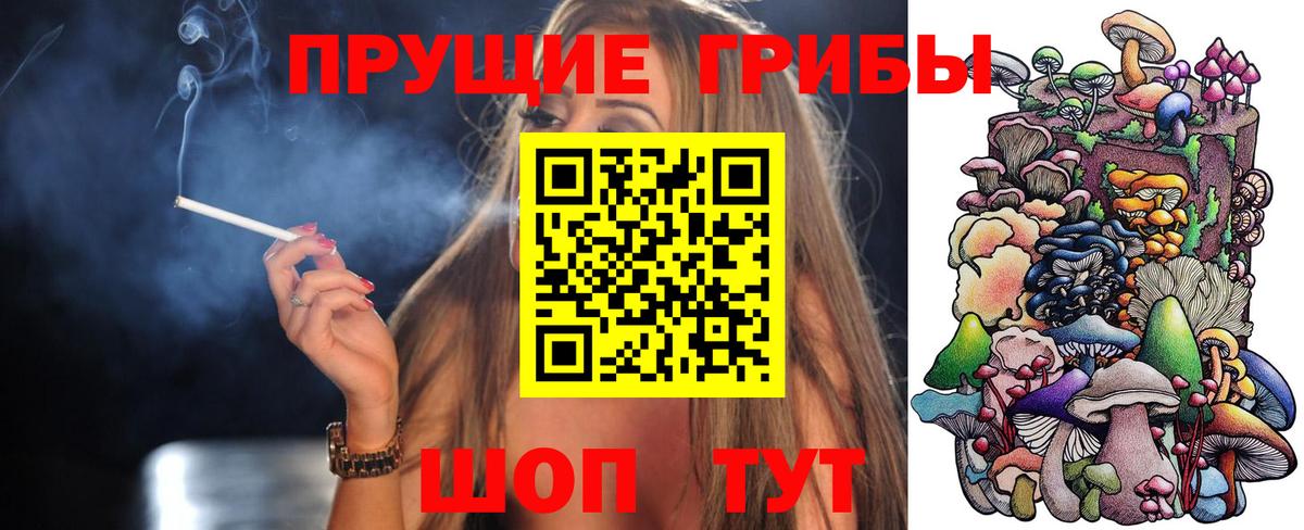 Псилоцибиновые грибы GOLDEN TEACHER  Вход с VPN  купить закладку  Дубна 