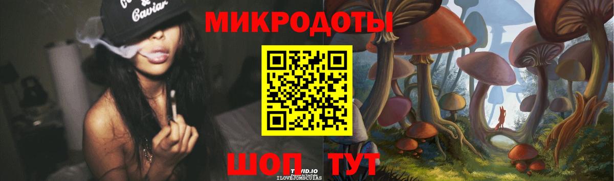 Псилоцибиновые грибы Psilocybe Дубна